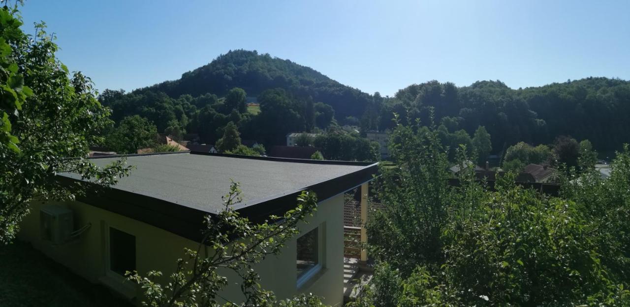 Apartments Ina Rogaška Slatina Camera foto